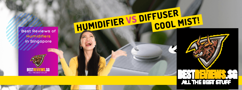 10 Best Humidifier Singapore  Air Humidifier Benefits 2023