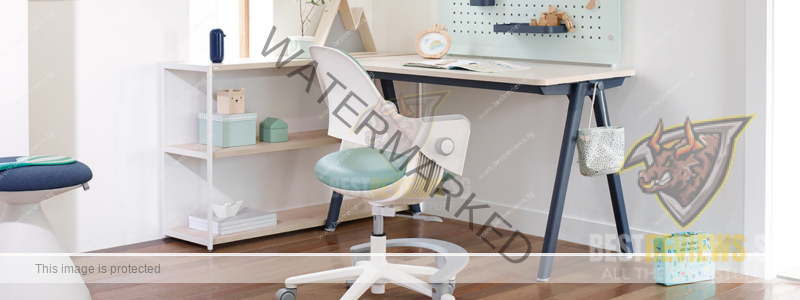 https://www.bestreviews.sg/wp-content/uploads/2023/06/benefits_of_ergo_chairs_desks_for_children_03.png