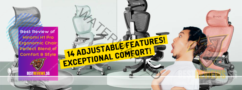 HINOMI H1 Pro High Back Ergonomic Office Chair with Built-in Leg Rest,  Foldable Design, Flip Up Arms, Suitable as Home Office Chair and Computer  Chair